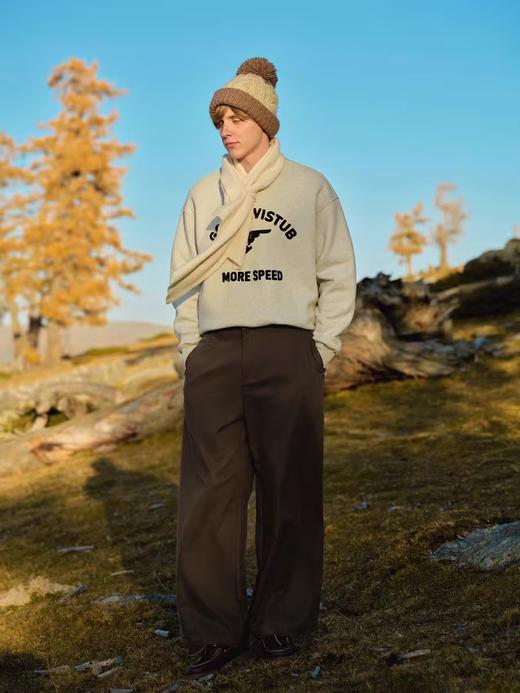 Evistub/E-4DWY977/400G云朵绒贴布刺绣复古保暖圆领卫衣 商品图2