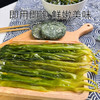 珍锦荟压缩海带苗60g 干海带嫩芽裙带菜片凉拌火锅煲汤早餐食材年货 /粮油调味 /南北干货 /鱼虾贝藻类干货 商品缩略图3