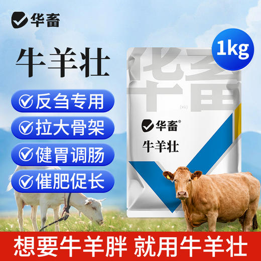 华畜牛羊壮1kg牛羊专用拉大骨架促生长 商品图0