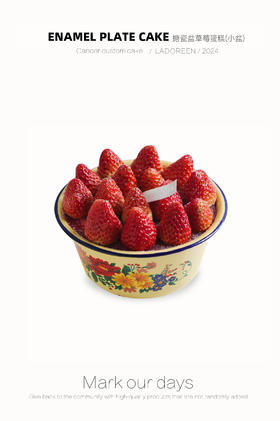 搪瓷盆草莓蛋糕小盆