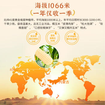 灶小美 高端有机糯玉米大棒8根3.8斤(240-300g/根) 天然微甜杂粮礼盒 /粮油调味 /杂粮 /谷米类 商品图2