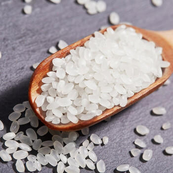 稻可道 臻选小町米10斤 东北圆粒大米 /粮油调味 /米 /小町米 商品图2