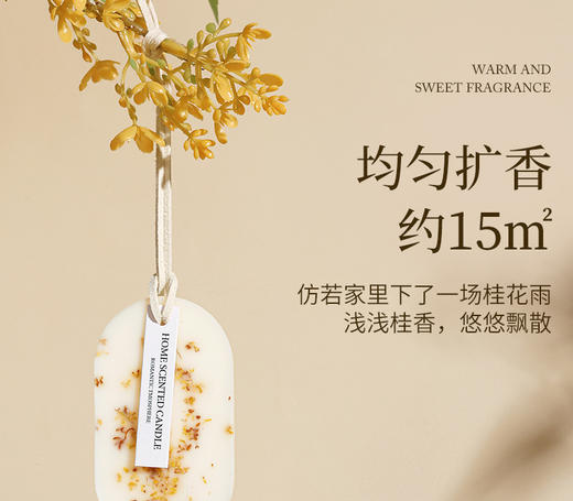【挂在衣柜里的栀子花，衣柜香薰蜡片】栀子花衣柜专用香薰蜡片 香片衣橱家用卧室内 持久除味衣服香氛挂件-QQ 商品图8