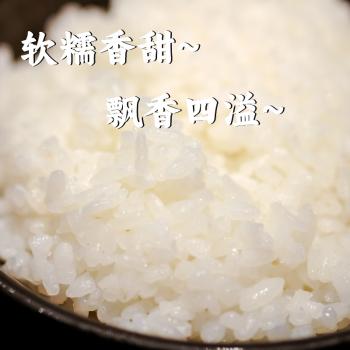 稻盛美盘锦大米20斤【正宗蟹田米】 东北大米圆粒粳米新米2026现磨 真空 /粮油调味 /米 /珍珠米 商品图0