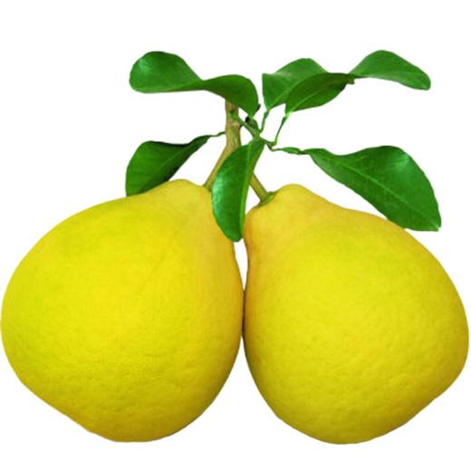 【梅州】沙田柚2个（约2500g） 商品图4