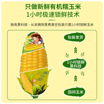 灶小美 高端有机糯玉米大棒8根3.8斤(240-300g/根) 天然微甜杂粮礼盒 /粮油调味 /杂粮 /谷米类 商品图7