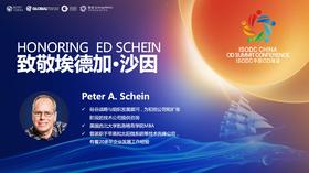 Peter：致敬埃德加沙因