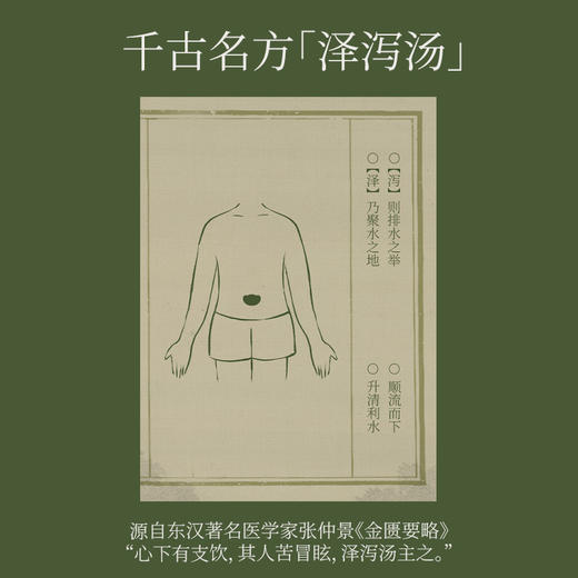 【真不二】泽泻白芍贴腹贴加速中焦运转打开排水通道告别腹袒身材管理 商品图2