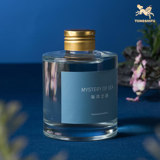 铜师傅香液 海洋之谜 桂子飘香 香格里拉 湖光山色 香味 商品图4
