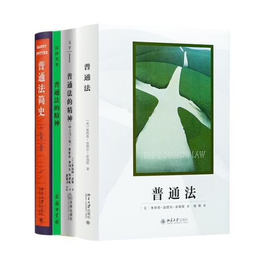 读懂普通法四书 商品图0