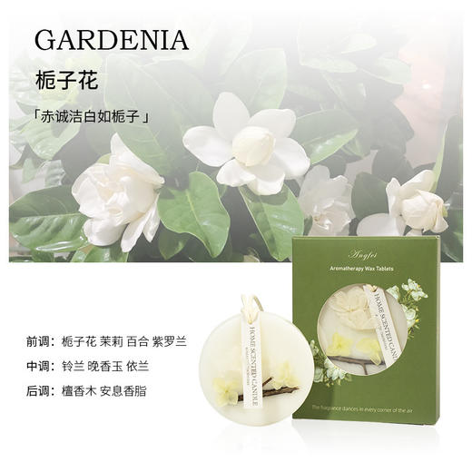 【挂在衣柜里的栀子花，衣柜香薰蜡片】栀子花衣柜专用香薰蜡片 香片衣橱家用卧室内 持久除味衣服香氛挂件-QQ 商品图5