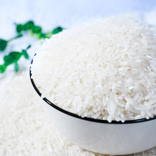 溢田北纬45°有机五常大米1kg*5【礼盒】 商品图1