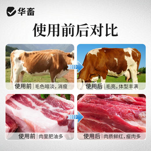 华畜牛羊壮1kg牛羊专用拉大骨架促生长 商品图4