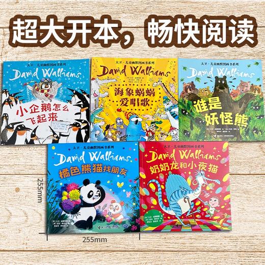 大卫儿童幽默图画书系列(套装共5册) 商品图1