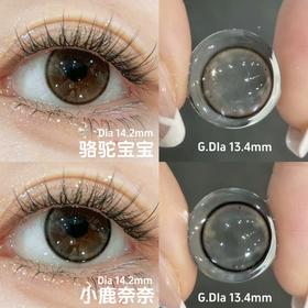 mixmixx月抛 小鹿奶奶 灰黑/骆驼宝宝 棕 14.2mm 非离子