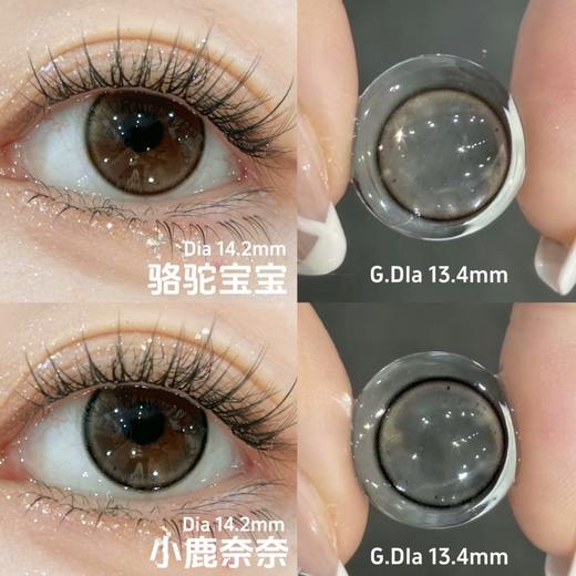 mixmixx月抛 小鹿奶奶 灰黑/骆驼宝宝 棕 14.2mm 非离子 商品图0