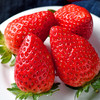 【四川好物】大凉山奶油草莓  1.4斤/2.4斤/3斤/4.5斤  京东/顺丰直达 商品缩略图3