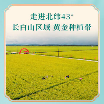 老爷岭 小町米寿司米10斤东北吉林大米小粒香米秋田小町年货福利团购 /粮油调味 /米 /小町米 商品图3