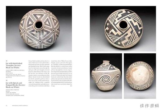 The Arts of the Ancient Americas at the Dallas Museum of Art / 达拉斯艺术博物馆的古代美洲艺术 商品图1