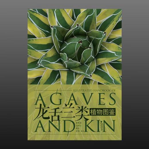 《龙舌兰类植物图鉴》形态介绍 产地生态特点 海峡书局【官方正版 48小时发货】 商品图1