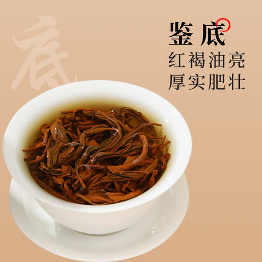 【醇香蜜韵】八百秀才五星英红九号礼盒180g 商品图3