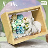 月光社FORYOU积木花束永生花相框diy益智拼装玩具创意生日礼物 商品缩略图1