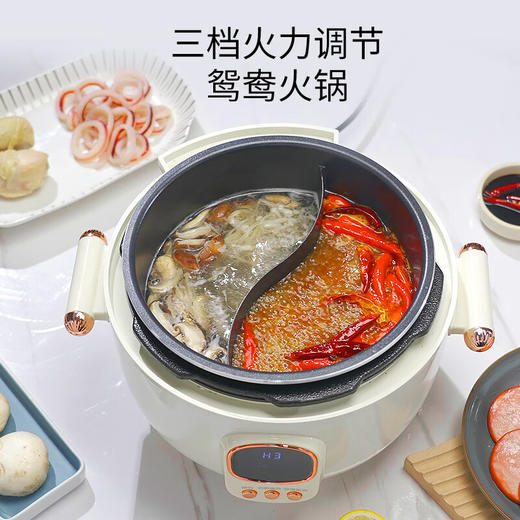 韩派太极釜鸳鸯电压力锅家用多功能智能高压力电饭煲 商品图3
