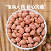 悦谷百味 花生米1.6斤 (五谷杂粮 白沙非红花生  大米粥米搭档 花生仁) /粮油调味 /杂粮 /谷米类 商品缩略图3