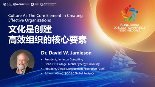 David：文化是创建高效组织的核心要素 商品图0