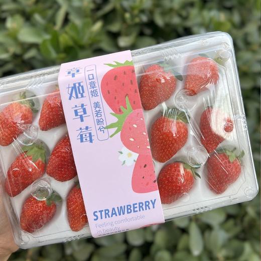 [情人莓🍓] 商品图1