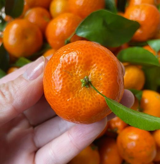 周四取货：【砂糖橘】一份2斤左右，皮薄多汁肉嫩，香甜无渣，沁心润喉！ 商品图2