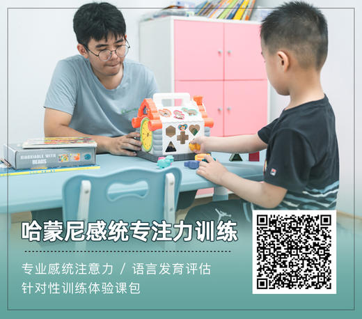 【哈蒙尼学能提升中心】专业感统注意力 / 语言发育评估，针对性训练体验课包 商品图0