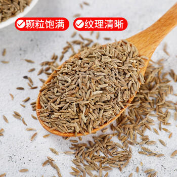 川珍孜然粒100g(研磨瓶)新疆孜然碎粉烧烤腌肉烤串调料撒料蘸料调味料 /粮油调味 /调味品 /基础香辛料 商品图2