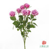 嘉荷多头- 紫琉璃10枝一扎 商品缩略图3