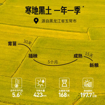 燕之坊黑米2斤 东北黑米 黑香米 五谷杂粮粗粮 无添加无染色 粥米伴侣 /粮油调味 /杂粮 /谷米类 商品图3