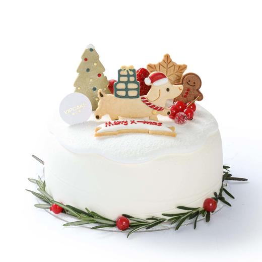 雪国童话 商品图0