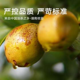 京觅【京东基地】保真山茶油 零反式脂肪酸有机山茶油5L 压榨一级 /粮油调味 /食用油 /山茶油