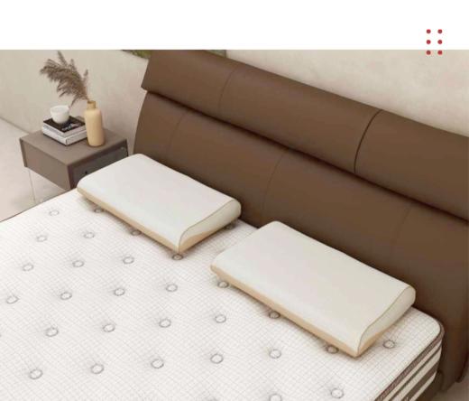 枕头/P201 商品图1