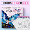 这么有趣的科普：我的蝴蝶标本书 商品缩略图2
