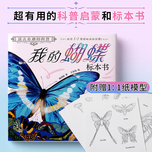 这么有趣的科普：我的蝴蝶标本书 商品图2