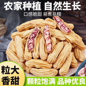 滇品客云南七彩花生带壳生1斤花生米新货晒干坚果成人解馋休闲零食下酒 /粮油调味 /杂粮 /谷米类
