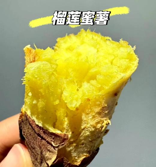 榴莲蜜薯 | 蔬果 商品图1