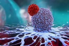  人体每天产生约1万个癌细胞，为什么大多数人不患癌症呢？ 