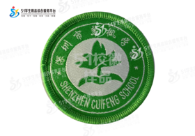 通版深圳市龙岗区翠枫学校织唛校徽校布标姓名贴章可缝烫现货发51