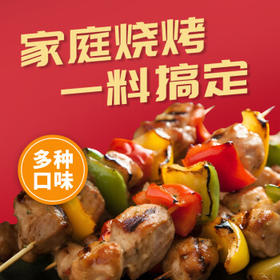 草原红太阳 烧烤料 烧烤蘸料烧烤煨腌料5袋组合装 /粮油调味 /调味品 /复合香辛料