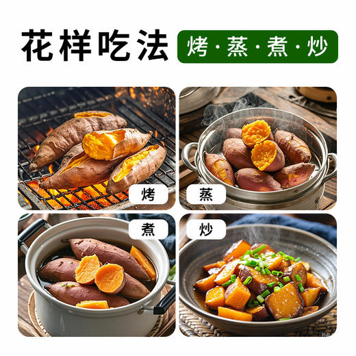 【归心之旅】云南有机榴莲蜜薯口感醇厚香甜软糯新鲜采摘现发 商品图4