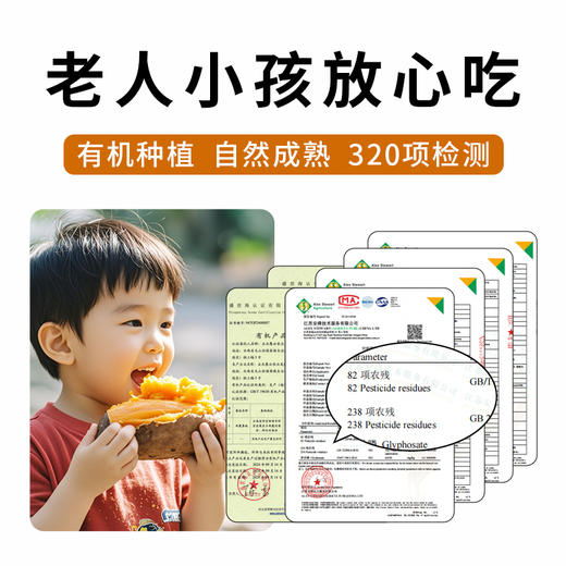 【归心之旅】云南有机榴莲蜜薯口感醇厚香甜软糯新鲜采摘现发 商品图3