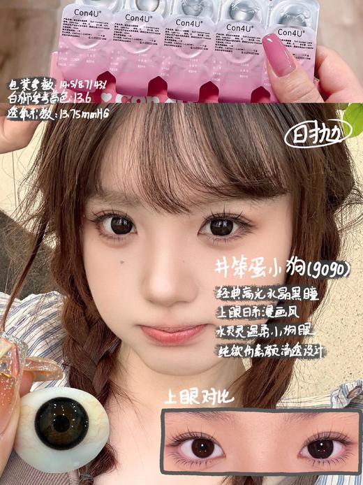 Con4u旗下 日抛· Gogo笨蛋小狗· 14.5mm白狮参考着色中大直径 十片装 商品图2