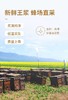 【汪氏】甄品蜂王浆 商品缩略图2