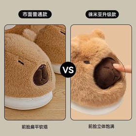 【团购】毛毛鞋 卡皮巴拉包根棉鞋 拖鞋 冬天家用居家防滑保暖 家居鞋 丑萌半拖棉鞋